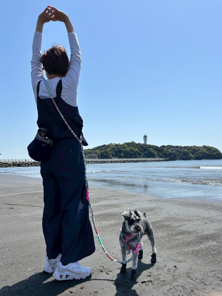 プロフィールページの写真