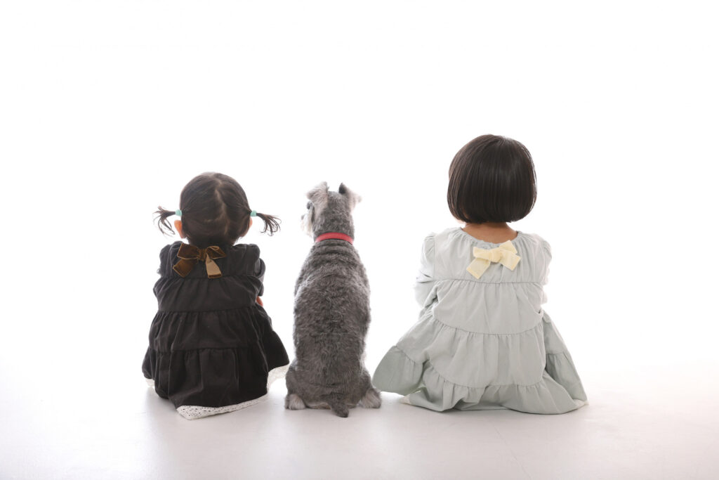 メインビジュアル