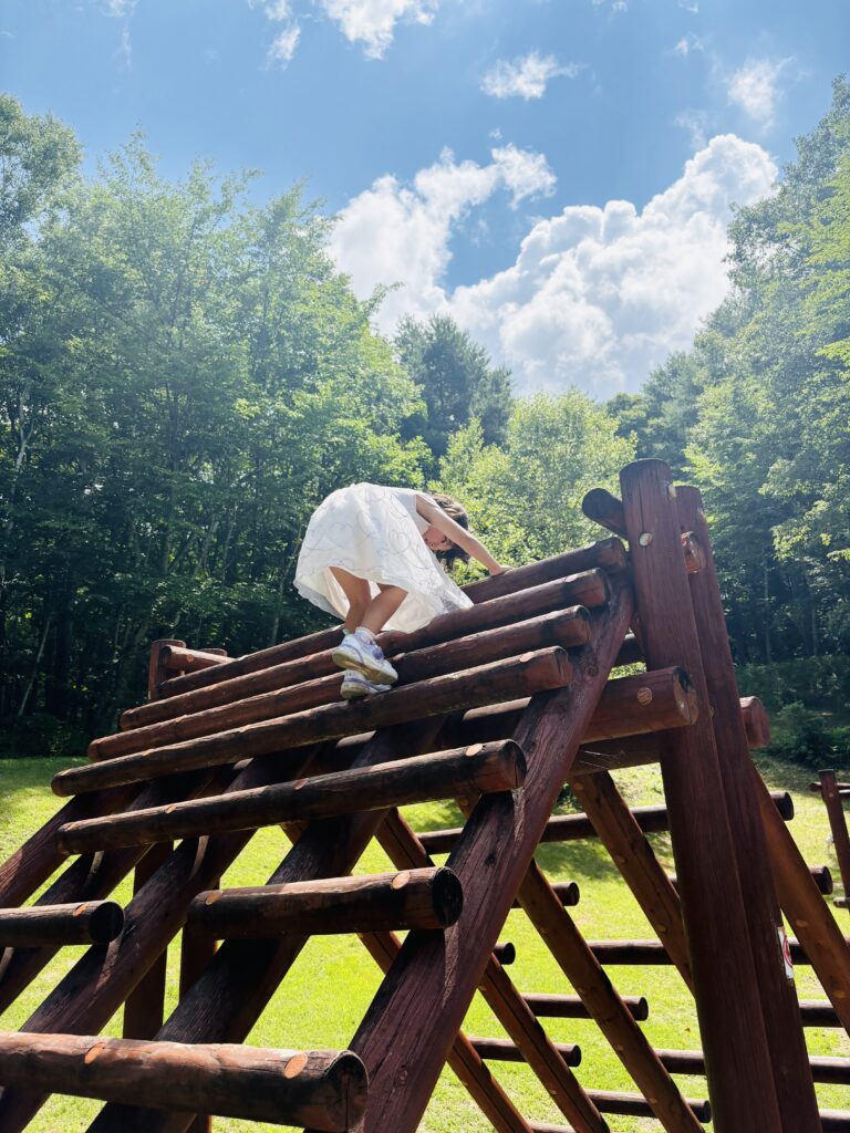 八ヶ岳自然文化園 アスレチック 遊具