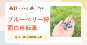 長野　八ヶ岳　ブルーベリー狩　面白自転車 旅育レポ