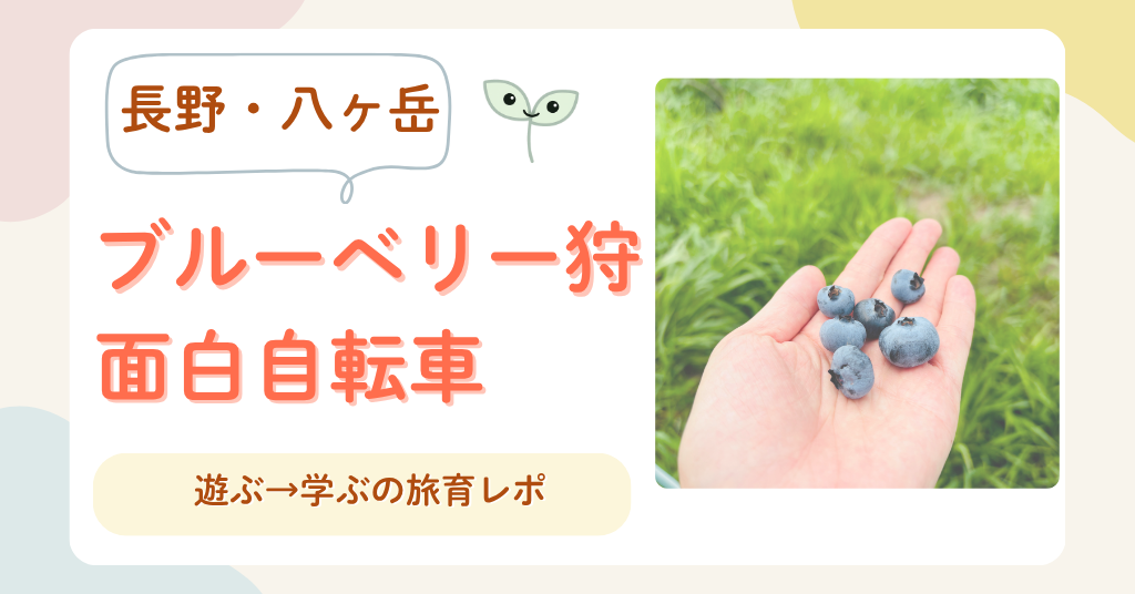 長野　八ヶ岳　ブルーベリー狩　面白自転車 旅育レポ