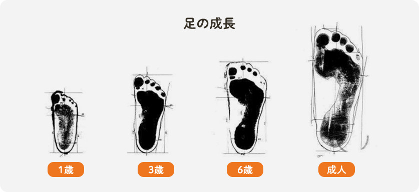 ムーンスター 子ども 足の成長 画像