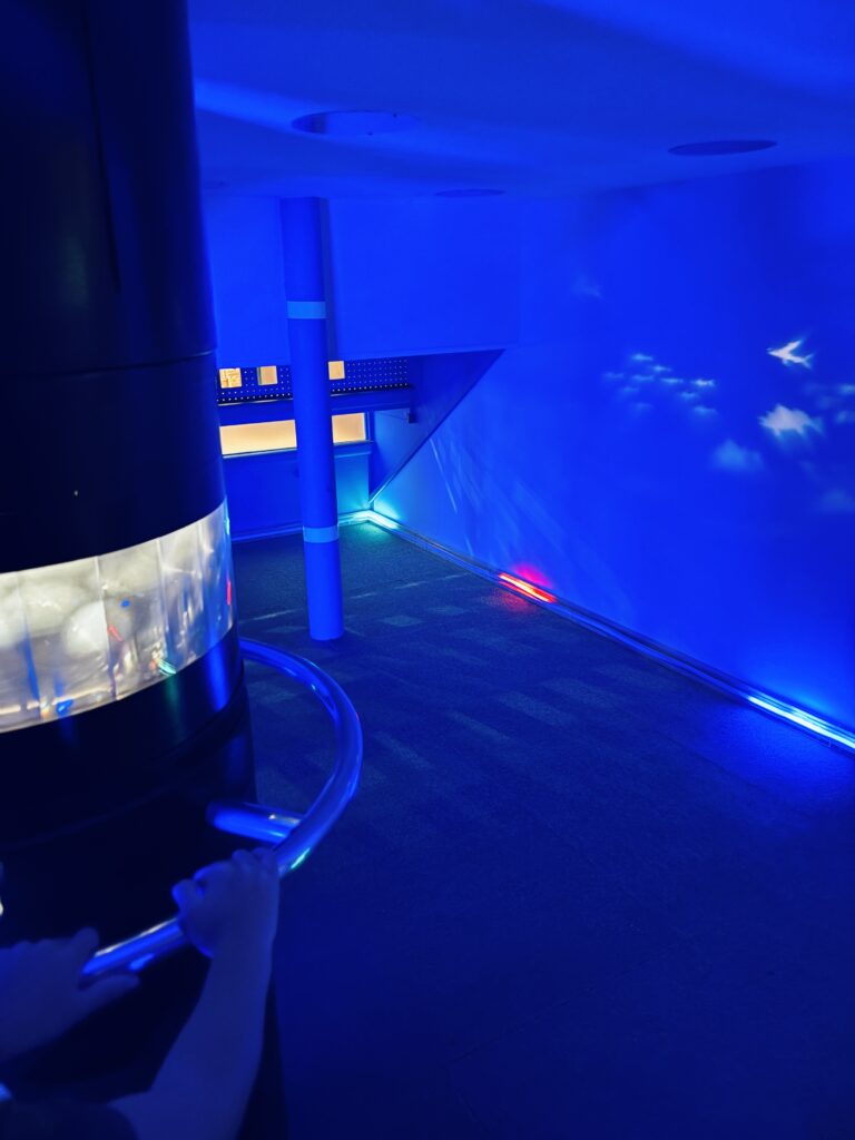 小田原　鈴廣　かまぼこ博物館
こども水族館　中の様子