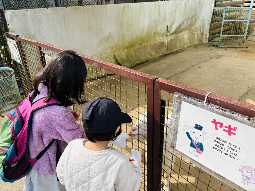 メルヘン村　動物餌やり　ヤギ